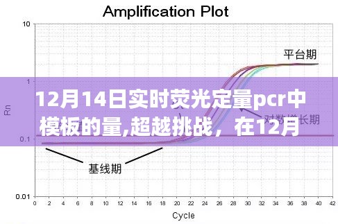 12月14日实时荧光定量PCR模板量的探索与挑战，学习变化中的自信与成就感