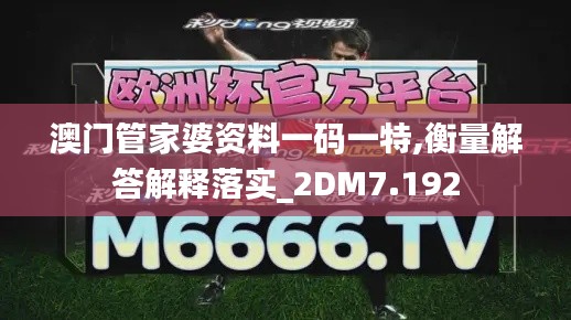 澳门管家婆资料一码一特,衡量解答解释落实_2DM7.192