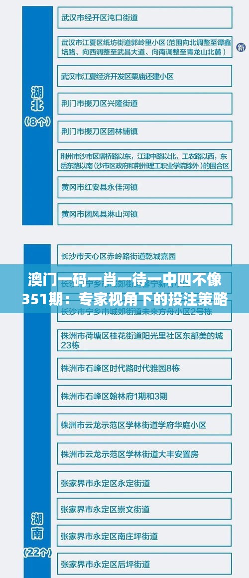 澳门一码一肖一待一中四不像351期：专家视角下的投注策略与风险评估