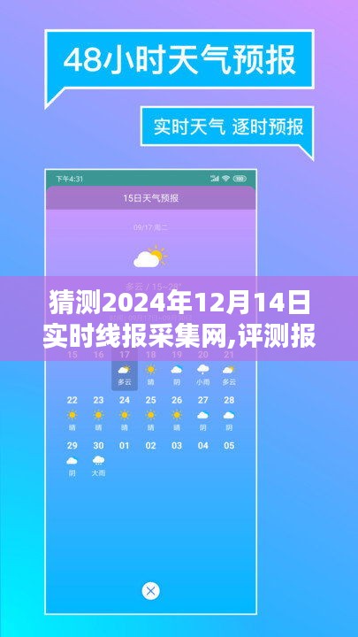 解析与评测，预测2024年12月14日实时线报采集网报告