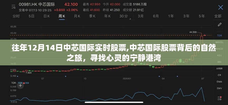中芯国际股票背后的自然之旅，探寻心灵的宁静港湾历年12月14日实时股票走势分析