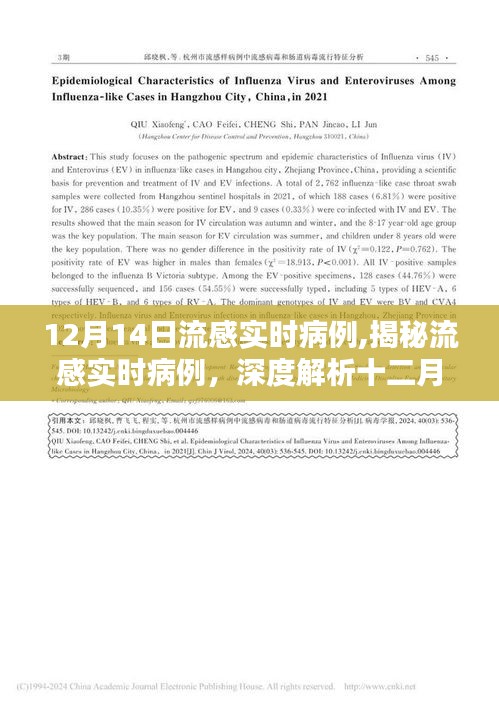 揭秘流感实时病例，深度解析十二月十四日疫情现状