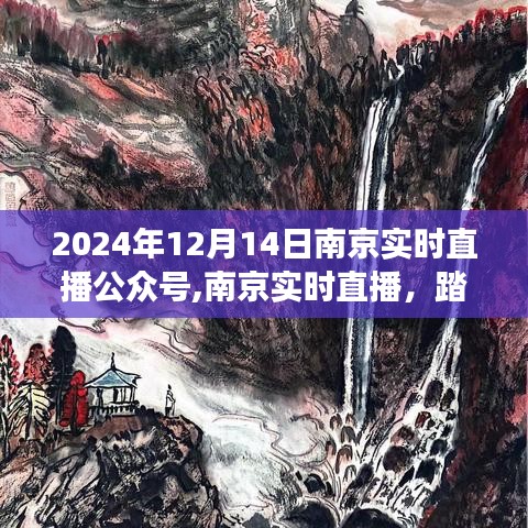 南京实时直播之旅，踏寻自然美景，探寻心灵宁静的平和世界（2024年12月14日）