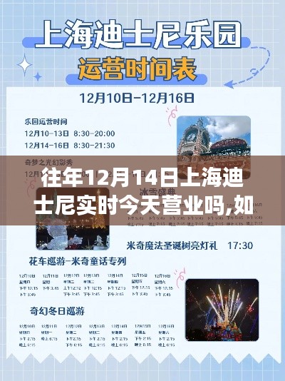 实用指南，查询往年12月14日上海迪士尼乐园营业状态的方法与步骤解析