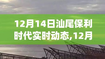 12月14日汕尾保利时代，实时动态与探寻自然美景之旅