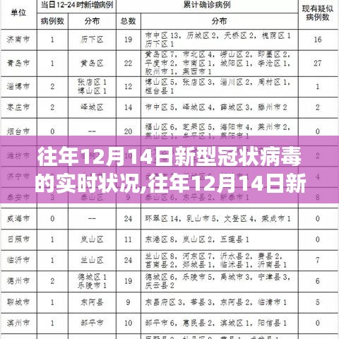 往年12月14日新型冠状病毒实时状况详解，逐步了解与应对策略