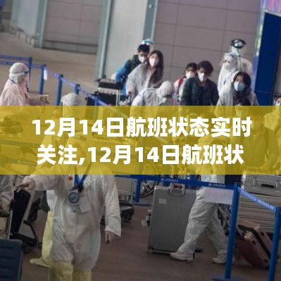 多方观点下的探讨与解析，12月14日航班状态实时关注