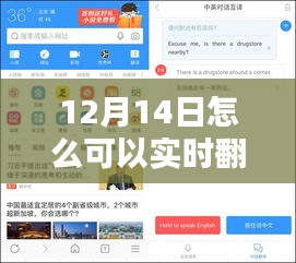 实时翻译视频，科技奇迹助力跨时空对话，12月14日的实现之道