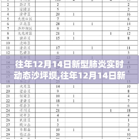 往年12月14日新型肺炎实时动态，沙坪坝疫情防控与关怀行动