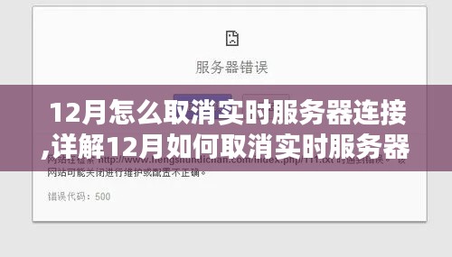 详解，如何取消实时服务器连接——操作指南与关键步骤（适用于12月）