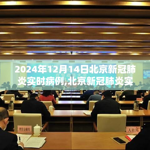 北京新冠肺炎实时病例分析，以2024年12月14日为例的探讨