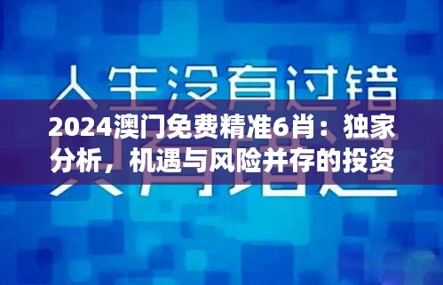 2024澳门免费精准6肖：独家分析，机遇与风险并存的投资策略