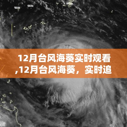 12月台风海葵实时追踪、深度解析与观看专题