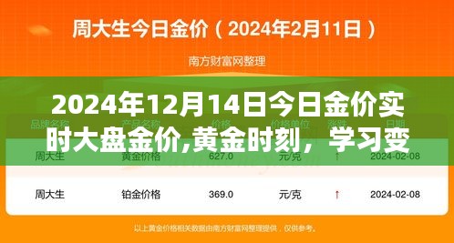 黄金启示录，今日金价变化与未来趋势洞察——黄金时刻的启示录（2024年12月14日）