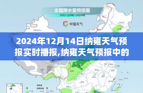 纳雍天气预报，冬日暖阳下的温情纽带与奇遇播报