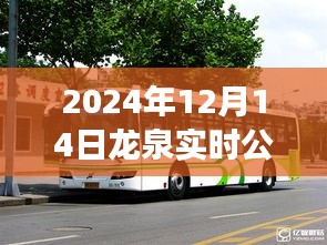 龙泉公交查询指南，2024年实时公交线路查询详细步骤