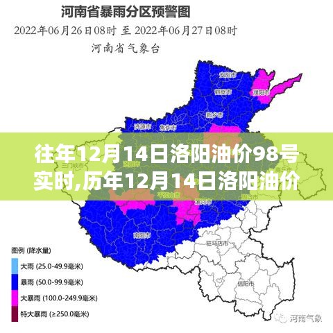 历年12月14日洛阳油价98号实时解析，市场走势、影响因素与未来展望