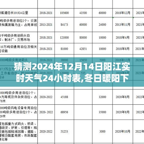 阳江冬日暖阳下的奇幻之旅，天气预测与家的温馨约定在2024年12月14日实时天气表