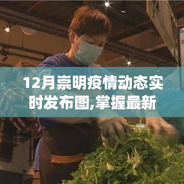 12月崇明疫情动态实时发布图，最新动态与查看步骤指南