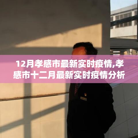 孝感市十二月最新实时疫情动态，多方观点探讨与个人立场分析