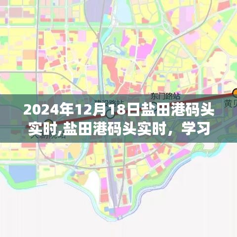 盐田港码头实时动态，学习变化，自信成就梦想之港的未来展望（2024年12月18日）