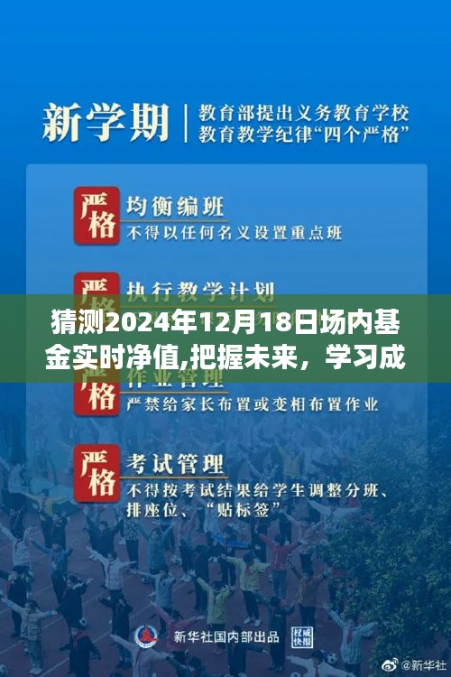 2024年12月18日场内基金实时净值预测与展望，学习把握未来