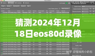 EOS 80D录像实时功能展望，预测未来发展趋势（2024年视角）