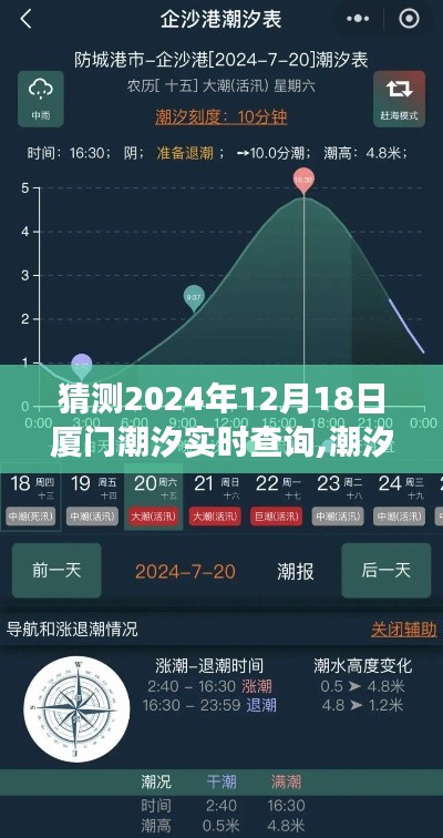 2024年厦门潮汐之旅，自信拥抱变化，潮汐之舞与成就感之旅