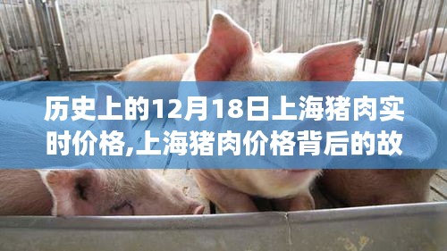 上海猪肉之旅，探寻价格背后的故事与内心平静之路（12月18日实时价格）