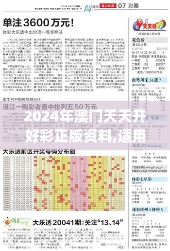 2024年澳门天天开好彩正版资料,适用实施策略_V3.873