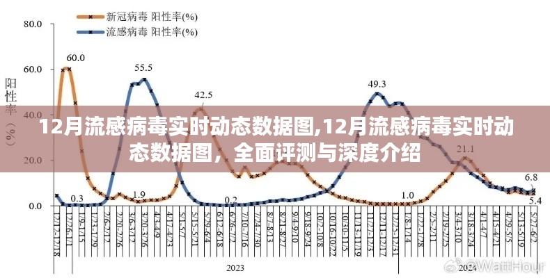 全面评测与深度介绍，12月流感病毒实时动态数据图解析