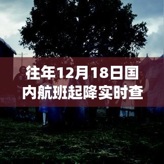 往年12月18日国内航班励志之旅，逆风翱翔，自信起航的实时查询之旅