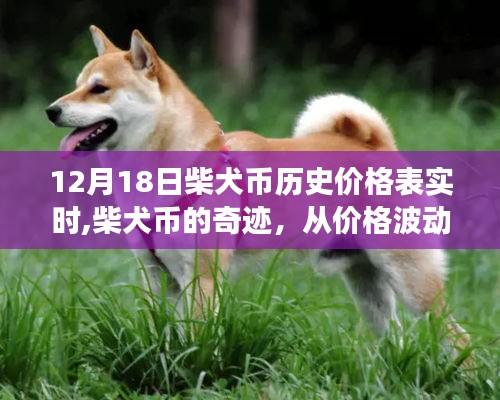 柴犬币的崛起之路，从价格波动到自信与成就感的励志之旅（附最新历史价格表）