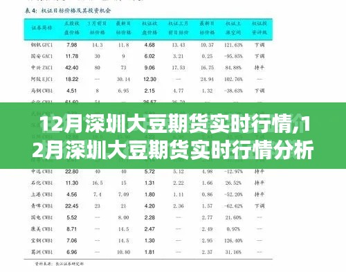 从入门到进阶，12月深圳大豆期货实时行情深度解析与分析指南