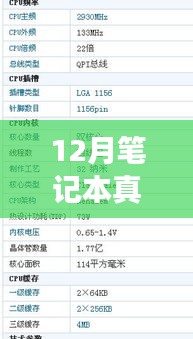 探究笔记本在12月的真实时钟频率，深度解析与观点争议