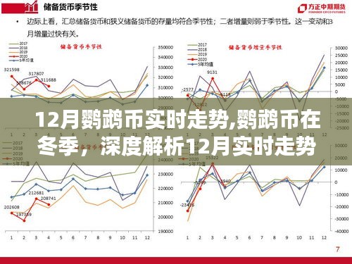 鹦鹉币冬季走势解析，深度探讨十二月实时动态与前景展望