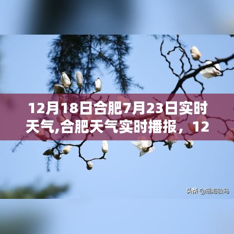 合肥天气实时播报，对比12月18日与7月23日的天气变化