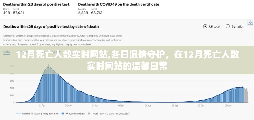 冬日温情守护，实时关注死亡人数，网站传递温暖与关怀