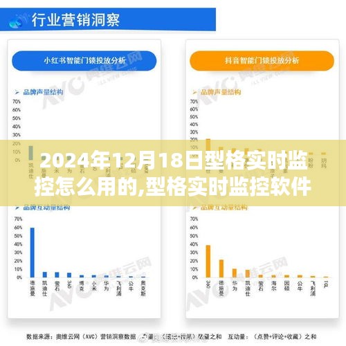 型格实时监控软件深度体验评测及使用方法指南（2024年12月版）