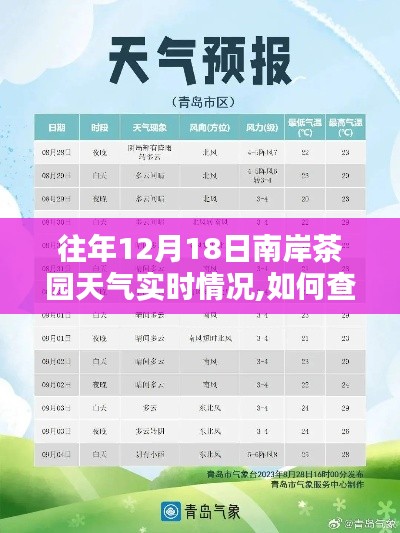 南岸茶园往年12月18日天气实时查询指南，初学者与进阶用户必备指南