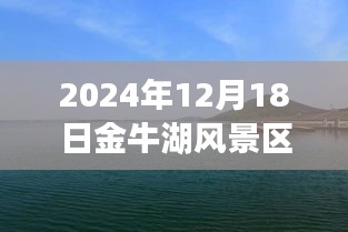 金牛湖风景区励志之旅，见证学习与变化的力量实时人流量报道（XXXX年）