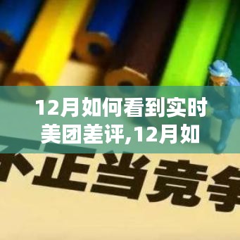 详细步骤指南，如何在12月实时查看美团差评