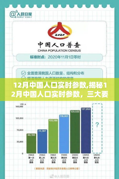 揭秘，深度解析中国人口实时参数三大要点——十二月版报告出炉