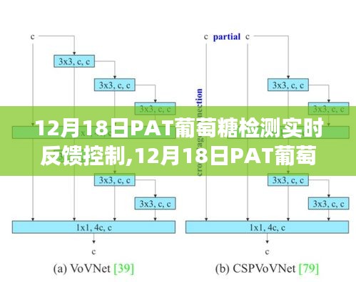 12月18日PAT葡萄糖检测，实时反馈控制的精准医疗之旅