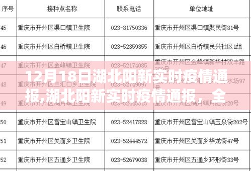 湖北阳新实时疫情通报，全面评测与深度分析（最新数据更新）