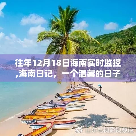 海南日记，温馨时光下的实时监控记录