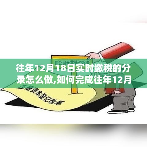 往年12月18日实时缴税分录操作指南，从初学者到进阶用户的详细步骤解析