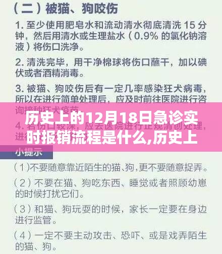 历史上的12月18日，急诊实时报销流程与医疗报销的时间赛跑奇遇