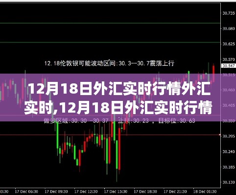 12月18日外汇实时行情深度解析，洞悉市场走势，捕捉投资机会