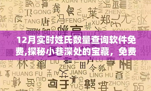 探秘小巷深处的宝藏，实时姓氏数量查询软件的奇妙探索之旅（免费版）